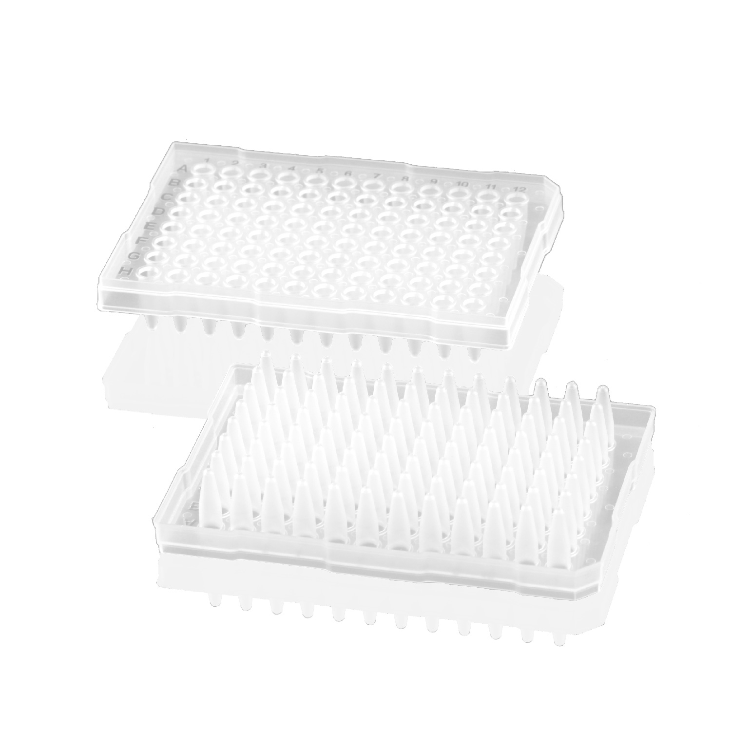 200ul 96孔PCR板,半裙边,磨砂(适配仪器:Thermo品牌 0.2ml模块仪器) 200ul 96孔PCR板,半裙边,磨砂(适配仪器:Thermo品牌 0.2ml模块仪器)